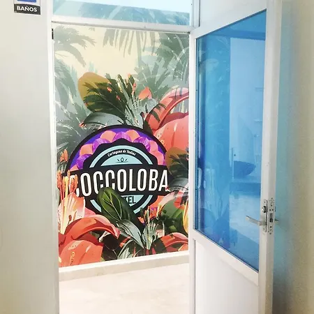 Coccoloba Cartagena